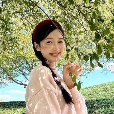 虎穴枭雄